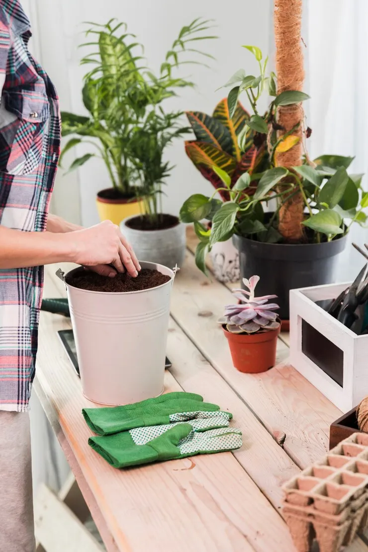 Mesa Para Cultivo De Plantas